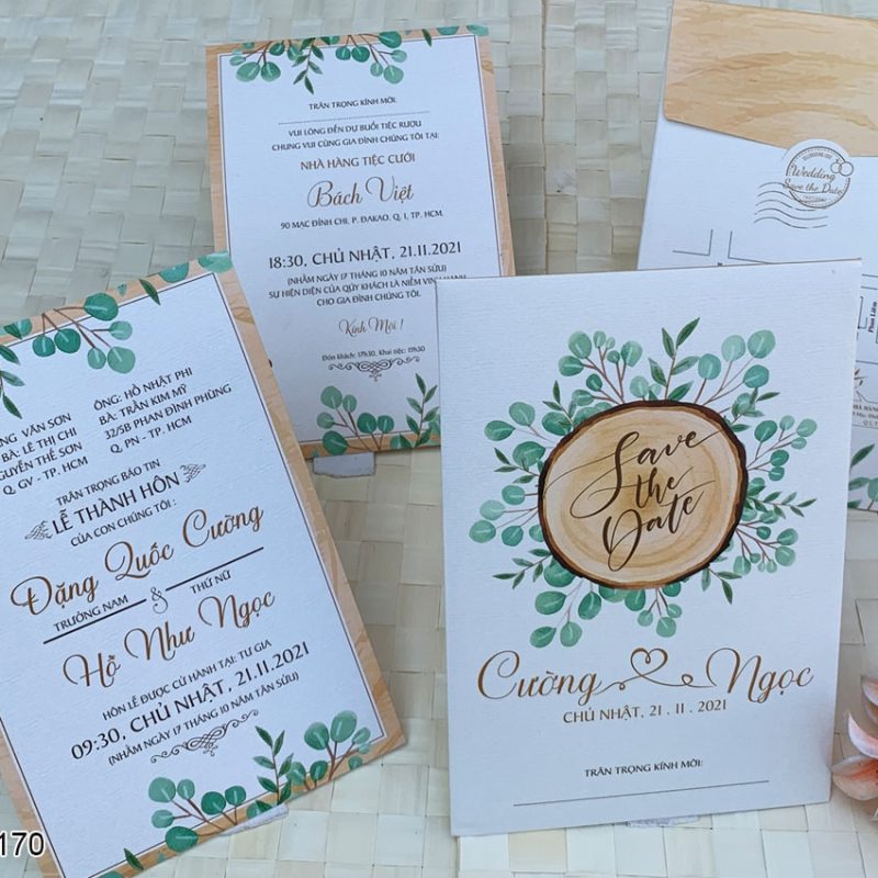 D-KTS170 Giấy mỹ thuật